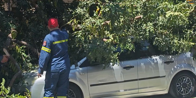 Ακραίοι άνεμοι στην Αττική: Δέντρο καταπλάκωσε όχημα με οδηγό εντός στη Μιχαλακοπούλου – Ριπές 124χλμ/ώρα